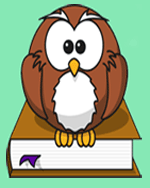 Owl on Book